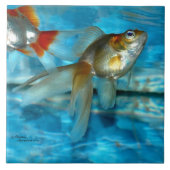 美しい龍金魚瓦 タイル (正面)