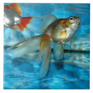 美しい龍金魚瓦 タイル