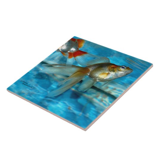 美しい龍金魚瓦 タイル (側面)