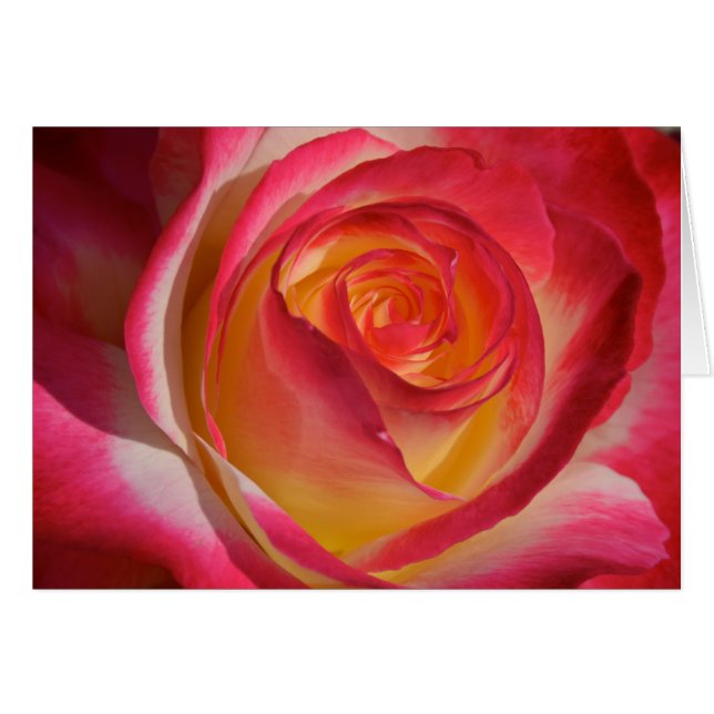 美しい (正面横)