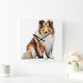 美しい3色の長毛のコリー犬 スクエア壁時計 (ホーム)