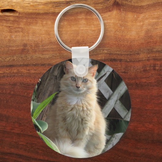 美しい-かわいらし野良猫 – キーチェーン (正面)