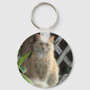 美しい-かわいらし野良猫-キーチェーン キーホルダー