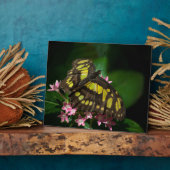 美しい・イン・スタースプラーク フォトプラーク (側面)