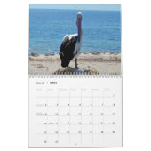 美しい・オブ・ザ・ペリカン・オーストラリア2019, カレンダー (3月 2026)