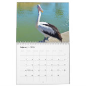 美しい・オブ・ザ・ペリカン・オーストラリア2019, カレンダー (2月 2026)