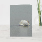 美しい カード (正面)