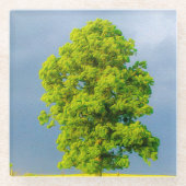 美しい ガラスコースター (正面)