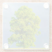 美しい ガラスコースター (裏面)