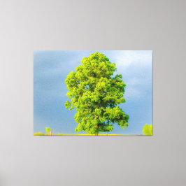 美しい キャンバスプリント