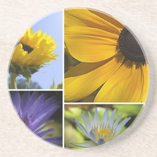 美しい コースター (正面)