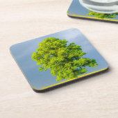 美しい コースター (左側)