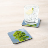 美しい コースター (右側)