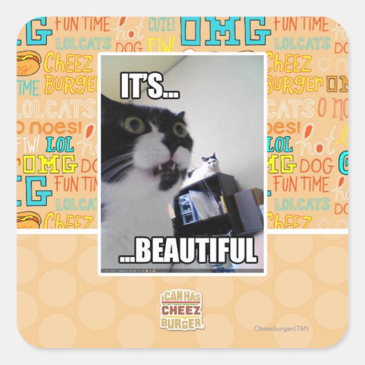 美しい スクエアシール (正面)