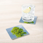 美しい スクエアペーパーコースター (インサイチュ)