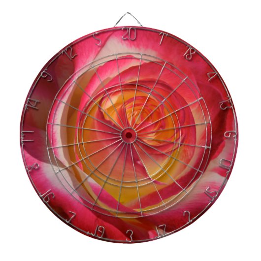 美しい ダーツボード (正面)