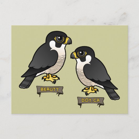 美しい&ドット.Ca ポストカード (正面)