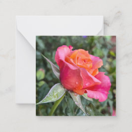 美しい ノートカード