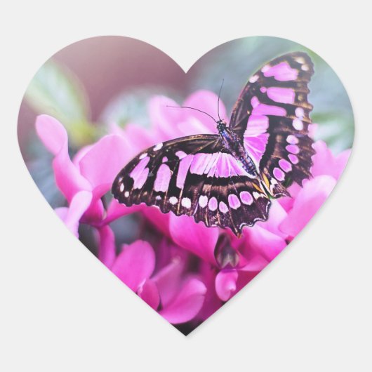 美しい ハートシール (正面)