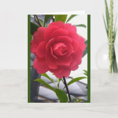 「美しい」バラ カード (正面)