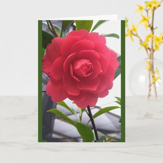 「美しい」バラ カード (黄色い花)