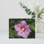 美しい（ピンク） ポストカード (スタンド正面)