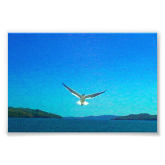 美しい フォトプリント           