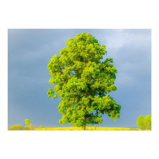 美しい フォトプリント            (正面)