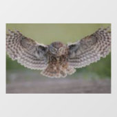 美しい"フクロウ飛行中"ウィンドウにしがみつく ウィンドウサイン (シート)