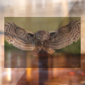 美しい"フクロウ飛行中"ウィンドウにしがみつく ウィンドウサイン (シート2)