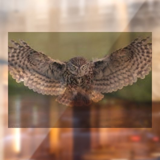 美しい"フクロウ飛行中"ウィンドウにしがみつく ウィンドウサイン (シート2)