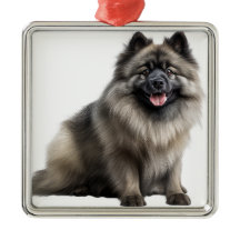 美しい フラッフィー ケースホンド パピー 犬
