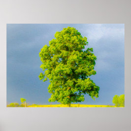 美しい ポスター