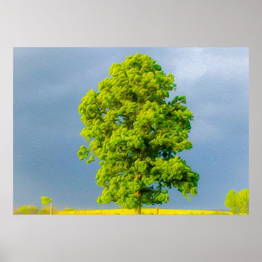 美しい ポスター (正面)