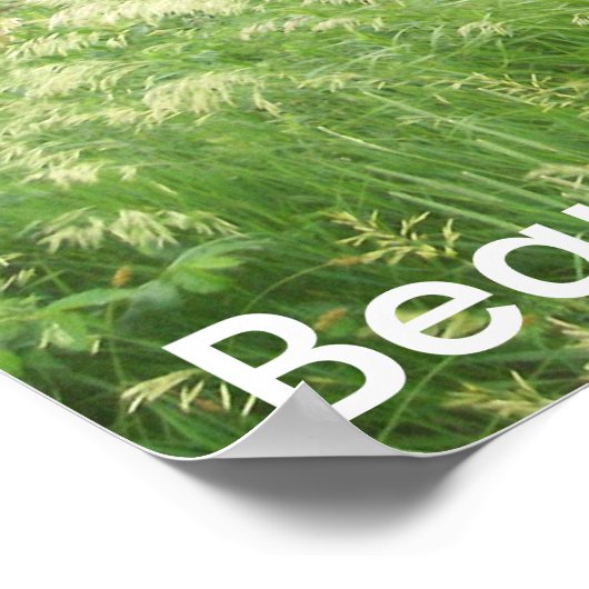 美しい ポスター (角)