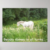 美しい ポスター (正面)