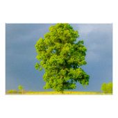 美しい ポスター (正面)