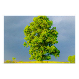 美しい ポスター