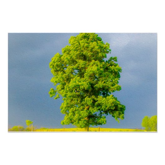 美しい ポスター (正面)