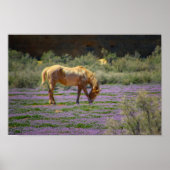 美しい ポスター (正面)