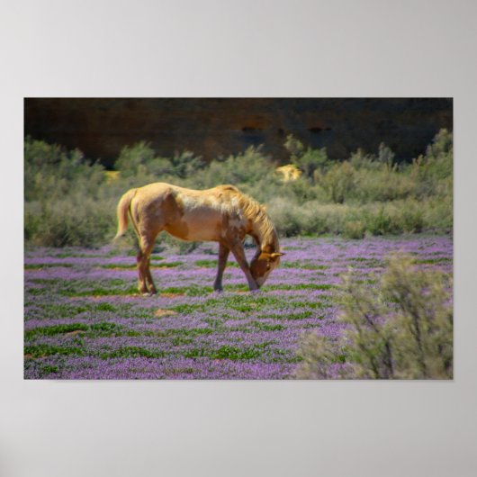 美しい ポスター (正面)