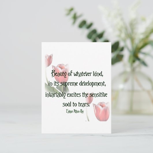 美しい ポストカード (スタンド正面)