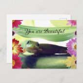 美しい ポストカード (正面/裏面)