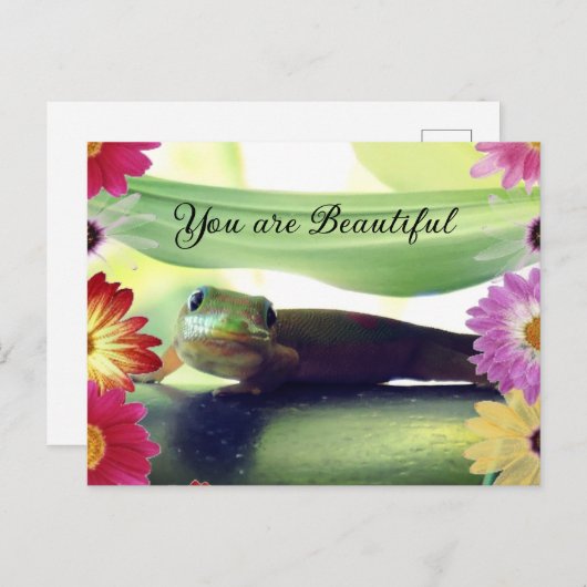 美しい ポストカード (正面/裏面)