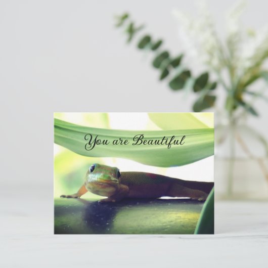 美しい ポストカード (スタンド正面)