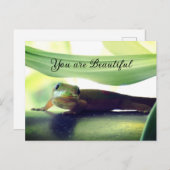 美しい ポストカード (正面/裏面)