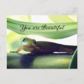 美しい ポストカード (正面)