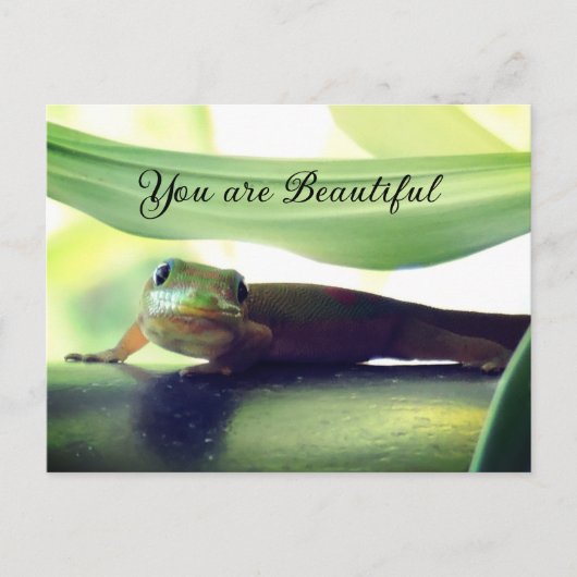 美しい ポストカード (正面)