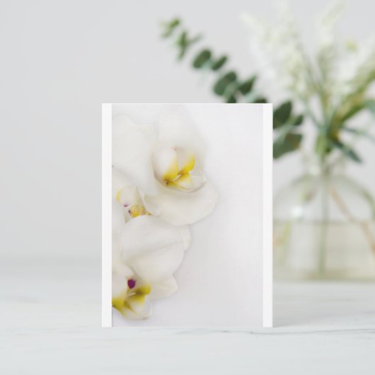 美しい ポストカード (スタンド正面)