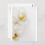 美しい ポストカード (正面/裏面)